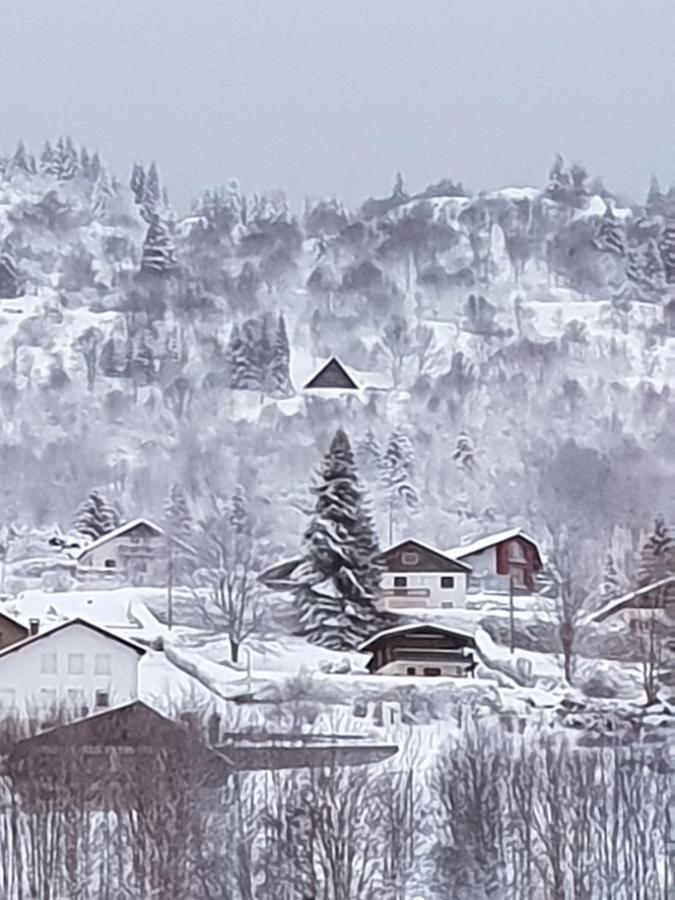 Maison Chaleureuse La Meybel La Bresse Esterno foto