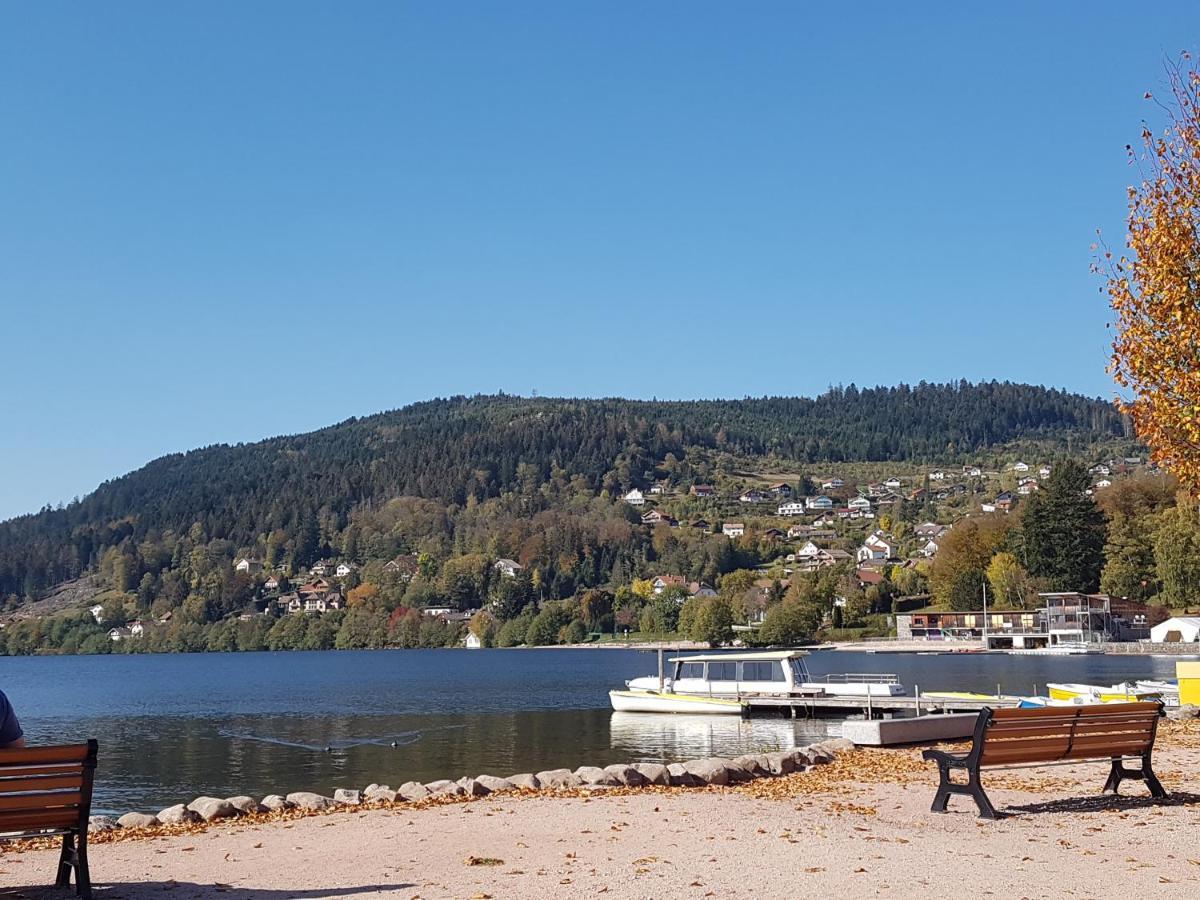 Maison Chaleureuse La Meybel La Bresse Esterno foto