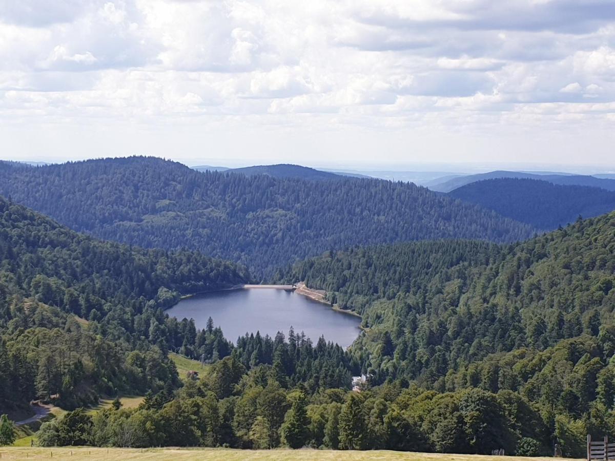 Maison Chaleureuse La Meybel La Bresse Esterno foto