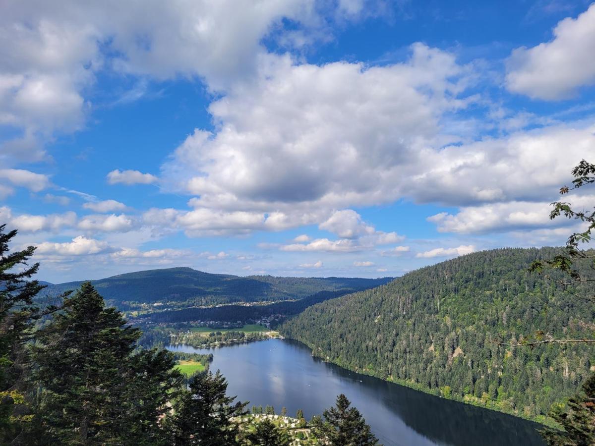 Maison Chaleureuse La Meybel La Bresse Esterno foto