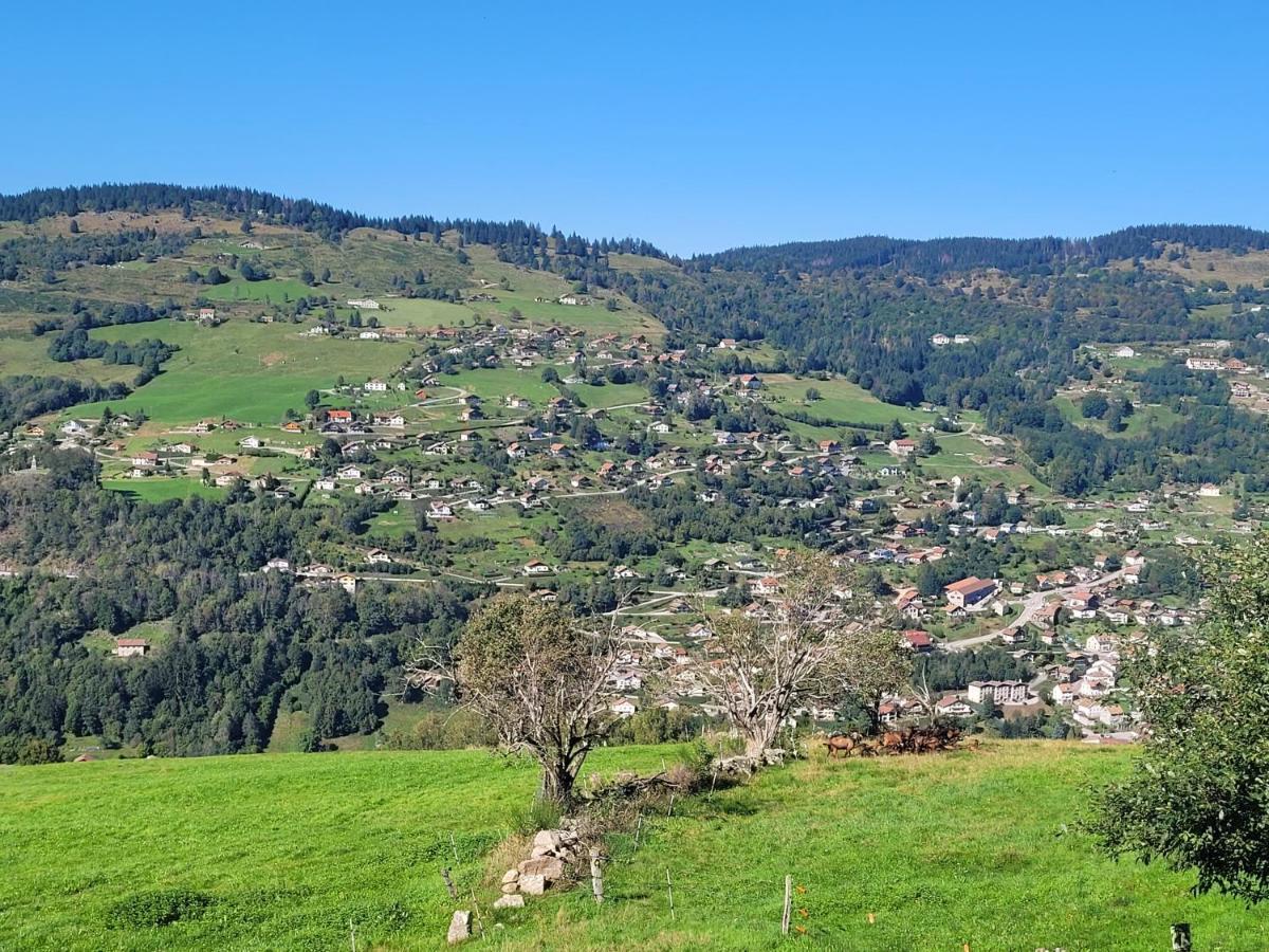 Maison Chaleureuse La Meybel La Bresse Esterno foto